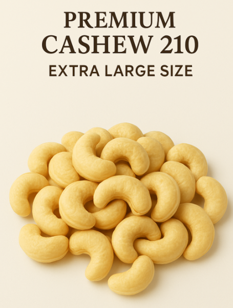 Premium cashew nuts labeled 'Extra Large Size' on a beige background